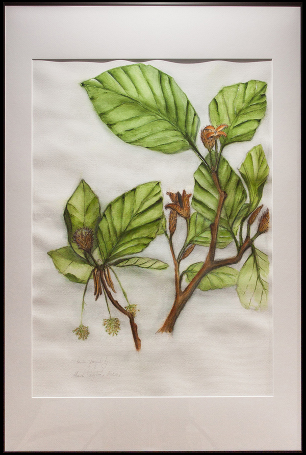 Marek_Roslon®-7877a